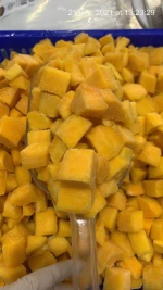 Frozen Mango high quality best price from Vietnam