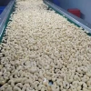 Premium Quality Cashew Nuts Grade | 100% Natural & Fresh Bulk Supplier