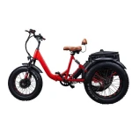 Electric Tricycle