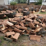 Premium quality Dried Split Firewood Kiln Dried Firewood Oak fire wood/Buy Kiln dried firewood