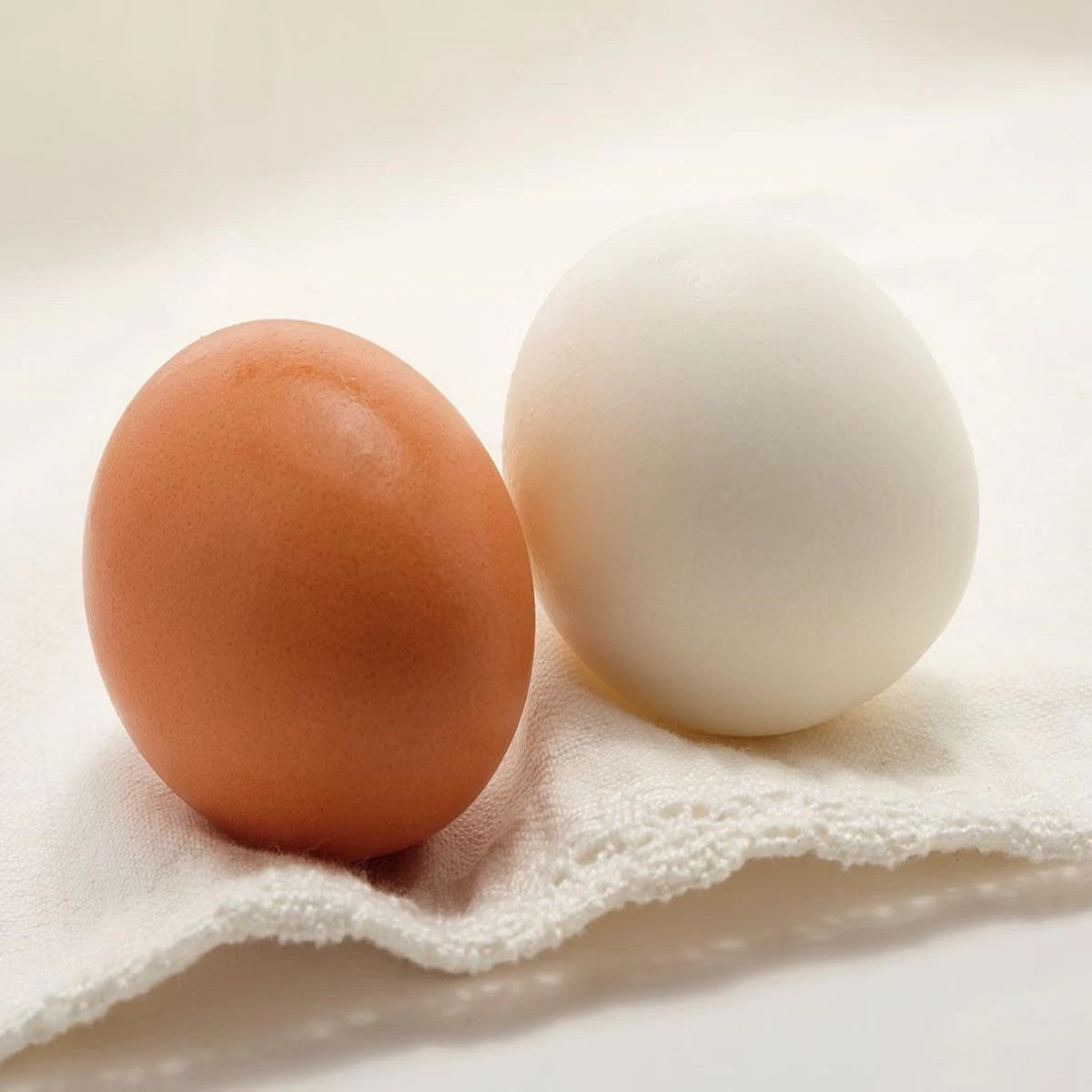 White And Brown Fresh Chicken Table Eggs/ Artificial Ostrich Eggs For
