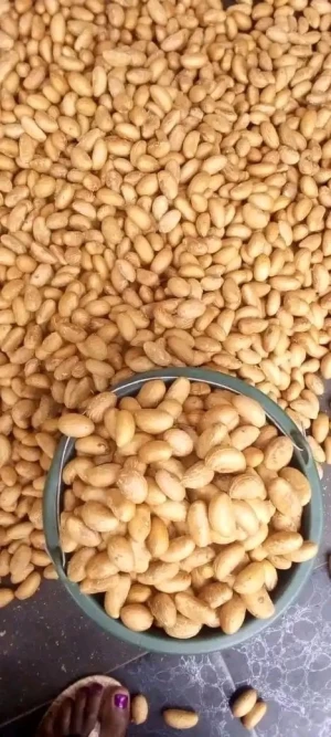Bitter Kola nut