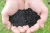 Import Activated carbon from India