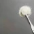 Import Factory Supply Food Grade Guar Gum 25 kg Bulk Powder Professional Thickener Emulsifiers from South Africa