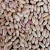 Import White Kidney Beans for Sale from Cameroon