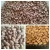 Import White Kidney Beans for Sale from Cameroon