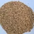 Import Sesame seeds from Egypt