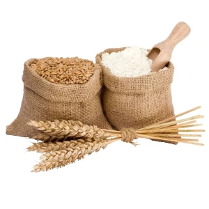 High Quality Wheat Flour For Sale Bulk Packed Fresh Wheat Flour Rich In Protein And Natural Nutrients