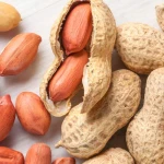 Best Factory Wholesale Jumbo Peanuts Blanched Peanut 100% Natural Peanut Cheap Shelled Raw Peanuts