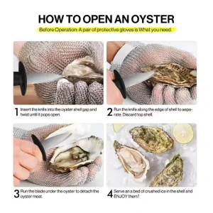 Wholesale Custom Stainless Steel Mussel Oyster Opener Knives Clam and Shellfish Tools Oyster Shucking Knife