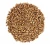 Import New Crop Wholesale Buckwheat Grain from South Africa