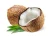 Import Pure Cold Pressed Coconut Oil – Coastal Karnataka from India