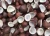 Import Pure Cold Pressed Coconut Oil – Coastal Karnataka from India