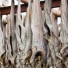 Norway Dry Stockfish for Sale / Dried StockFish / Frozen Stock Fish