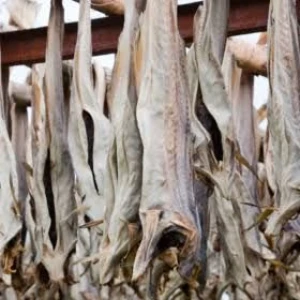 Norway Dry Stockfish for Sale / Dried StockFish / Frozen Stock Fish