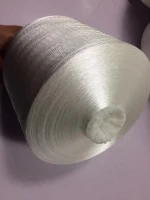 75D/2  polyester embroidery filament yarn in dying tube raw white