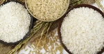 White rice, Jasmine