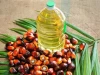 Palm Oil Olein CP8/CP10/RBD