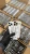 Import Affordable Used Phones Fully Tested and Unlocked from United Arab Emirates
