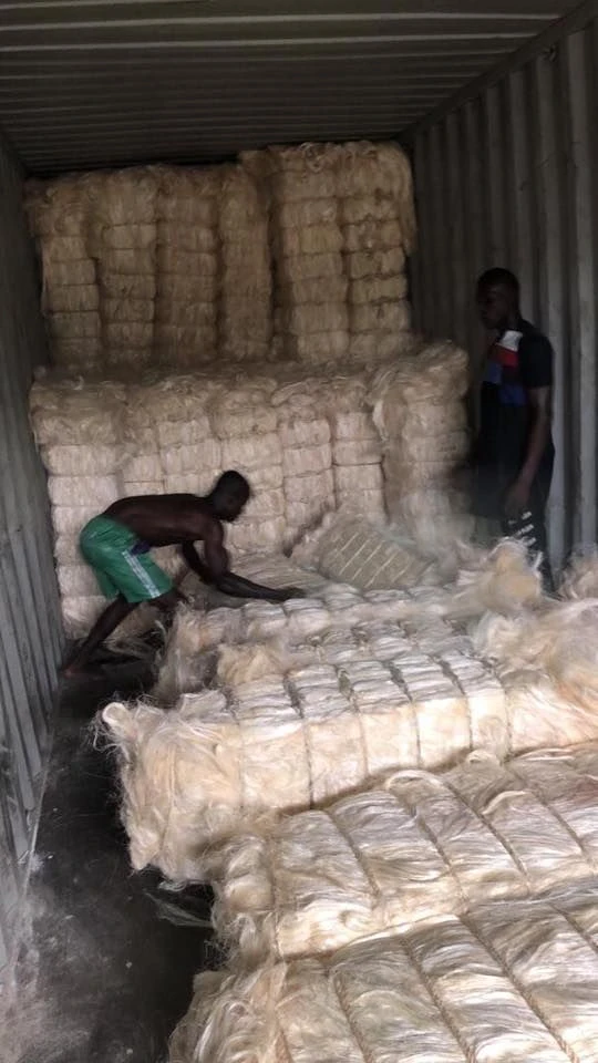 Buy Sisal Fibre Of Ug Grade And Ssug From East Africn Tradings Wings