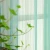 Import 100% Polyester Light Filtering Stripe Sheer Voile Ready Made Curtain from China