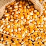 100% Yellow corn for animal feed and poultry feed for sale