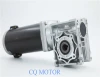 12v24v dc worm gear motor for lawn mowers, electric vehicles