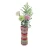 Import 2015 New Design Colorful Plastic Vase from China