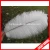 Import 2015 wholesale wedding table decorative ostrich feather from China