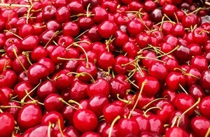 2017 new crop S.A dried whole cherry