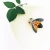 Import 2018 Pearl Rhinestone Zinc Alloy Insect Shaped Brooches 1315455 from China