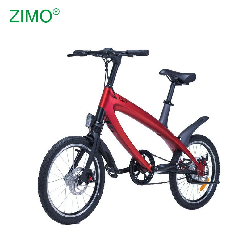 2020 36V 240W Pedal Assist Electric Bike Bicycle, China Cheap Electric Bike