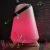 Import 2020 Bottle Cooler New Arrival 16 RGB Colors Nightclub LED Light Up Speaker Ice Bucket Wine Cooler from China