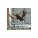 2020 New Design Fork Shape Plastic Piegon Control Bird Repeller Fence Spike for Sale