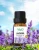 Import 2021 new arrivals 100% pure oil bottle private label lavender essential oil from China