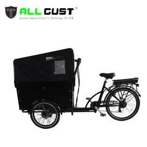 3 Wheel Electric Bicycle Cargo Bike 250W 36V Tricycle With Wooden Case