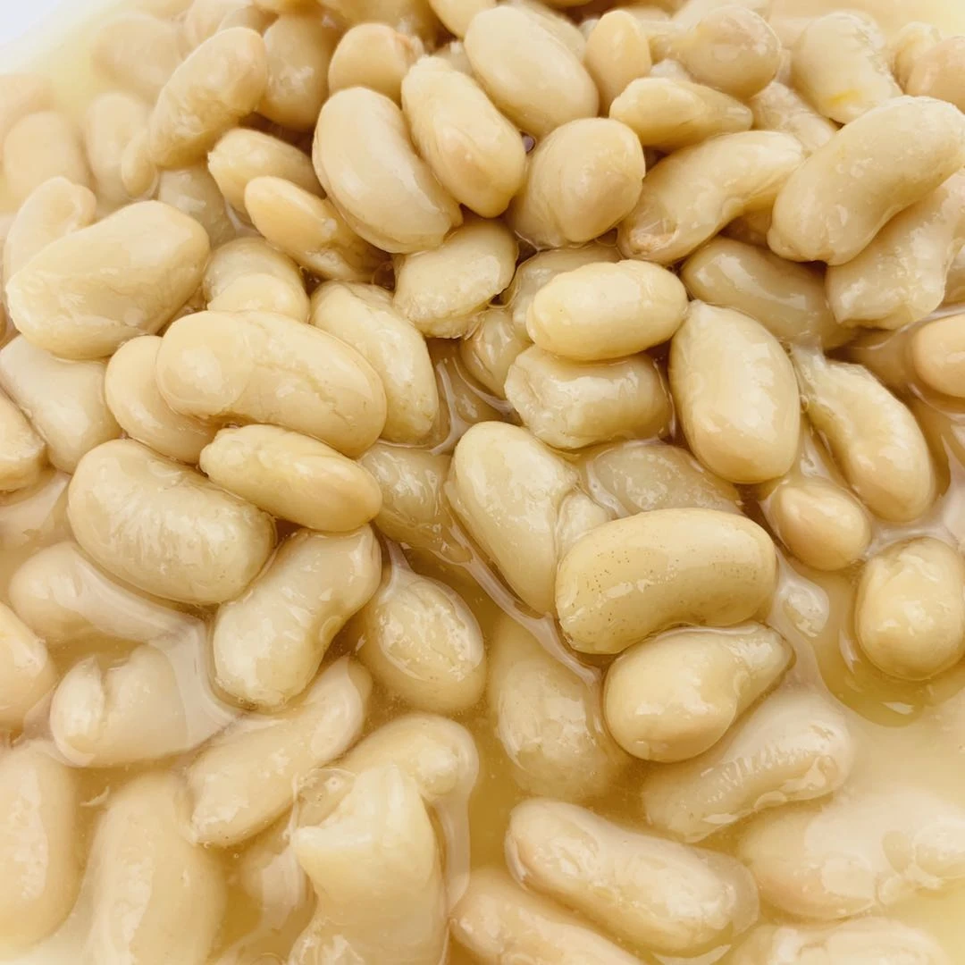 400g 425g 800g kidney bean Hot Sale Good Quality canned white bean in brine cheap price