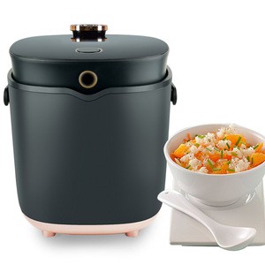 400W reheat instant rice cooking pot with Slow cooker function and steel steamer