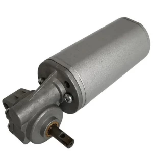 45ZY-WJ22 30W Electric DC Worm gear motor 24V