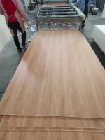 5-30mm PVC Laminated Board Building Material Decorative Wall Panels PVC Plastic Sheet