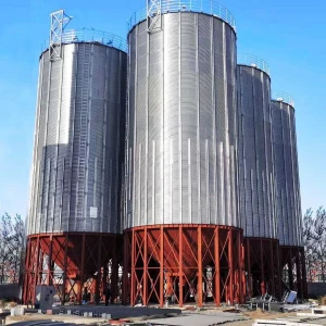 500-10000 Ton Grain Silo Used for Storage of Maize Grains and Rice