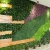 Import 50*50cm good quality outdoor artificial plant vertical garden from China