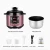 Import 5l Electric Pressure Cooker Multipurpose from China