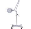 5X LED esthetician Magnifying Lamp Desk Clamp LED Lamp Magnifier for Workshops Beauty Salon
