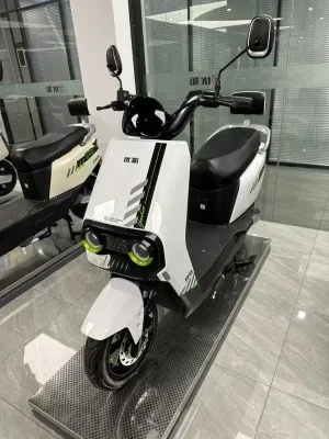60 V 20 Ah High Quality Mobility Electric Motorcycle Adults