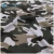Import 75% Polyester 25% Cotton Camouflage Printed French Terry Fabric Wholesale from China