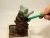 Import 7pcs Succulent Transplanting Miniature Fairy Garden Planting Gardening Hand Tools Set from China