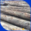 80cm diameter high quality wood logd ebony rosewood / tali logs