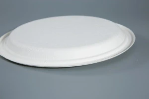 9 inch disposable biodegradable raw materials paper plate disposable dishes plate