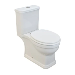 AB2199 ANNWA Japanese UK Dual-flush Washdown P-trap Two-piece WC Toilet